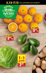 Gazetka promocyjna Biedronka - Od Czwartku - Gazetka - ważna od 11.12 do 11.12.2024 - strona 26 - produkty: Ser, Sałata lodowa, Pomarańcze, Sałat, Deser