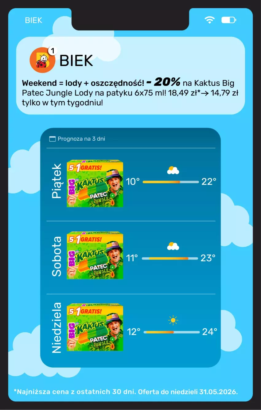 Gazetka promocyjna Biedronka - Gazetka - ważna 29.05 do 05.06.2026 - strona 11 - produkty: Kaktus, Lody