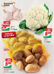 Gazetka promocyjna Dino - Gazetka - ważna od 04.03 do 04.03.2025 - strona 36 - produkty: Kalafior, Czosnek, Ziemniaki