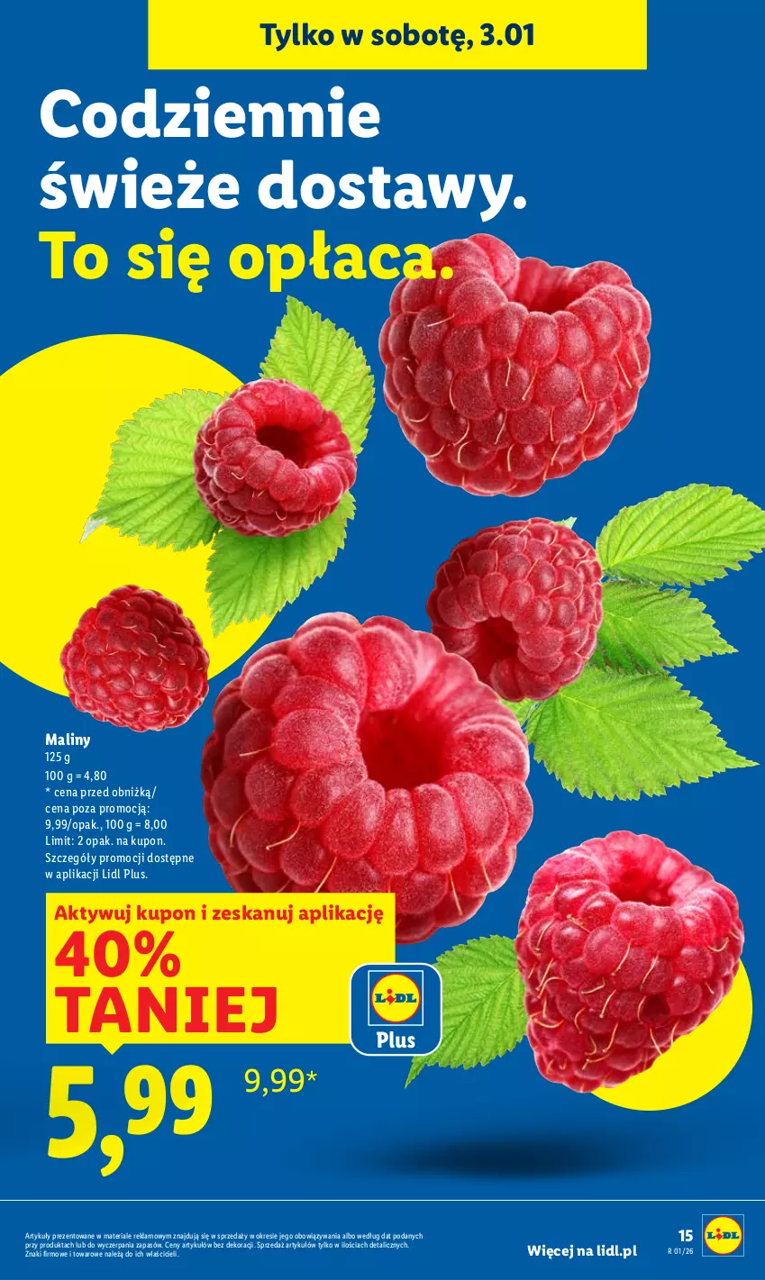 Gazetka promocyjna Lidl - GAZETKA - ważna 02.01 do 03.01.2026 - strona 17 - produkty: Maliny