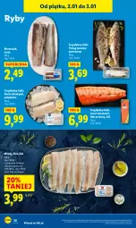 Gazetka promocyjna Lidl - GAZETKA - Gazetka - ważna od 03.01 do 03.01.2026 - strona 28 - produkty: Polędwica, Pstrąg tęczowy, Tusz, Pstrąg, Mintaj, Dorsz