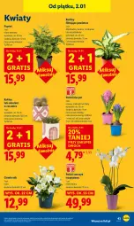 Gazetka promocyjna Lidl - GAZETKA - Gazetka - ważna od 03.01 do 03.01.2026 - strona 45 - produkty: Sok, NBA, Gra, Hiacynt, Kaktus, Chia, Storczyk, Sukulent