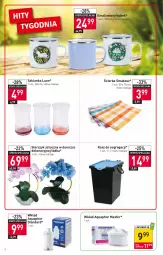 Gazetka promocyjna Stokrotka - Market - Gazetka - ważna od 13.07 do 13.07.2022 - strona 8 - produkty: Kosz, Aquaphor, Storczyk, Szklanka, Kubek