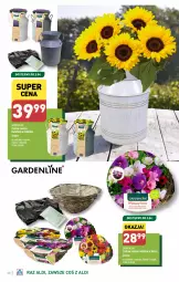 Gazetka promocyjna Aldi - Artykuły do ogrodu 👩‍🌾🌱 - Gazetka - ważna od 06.04 do 06.04.2024 - strona 20 - produkty: Dzbanek, Kosz