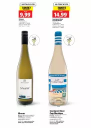 Gazetka promocyjna Lidl - Gazetka - ważna od 12.11 do 12.11.2022 - strona 4 - produkty: Makaron, Warzywa, Sauvignon Blanc, Drób, Sałat, Pizza, Owoce morza, Owoce, Fa