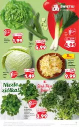 Gazetka promocyjna Kaufland - OFERTA TYGODNIA - Gazetka - ważna od 03.11 do 03.11.2021 - strona 17 - produkty: Por, Sałata masłowa, Pietruszka, Kolendra, Zioła w doniczce, Sałat, Bazyl, Bazylia, Masło, Mięta