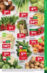 Gazetka promocyjna Stokrotka - Supermarket - Gazetka - ważna od 21.05 do 21.05.2025 - strona 9 - produkty: Warzywa, Por, Sałata lodowa, Truskawki, Ziemniaki, Sałat, Brzoskwinie, Owoce, Grunt, Rzodkiewka, Mięso, Kokos, Fa