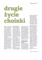 Gazetka promocyjna Drogerie Natura - Gazetka Drogerie Natura - Gazetka - ważna od 31.01 do 31.01.2023 - strona 69 - produkty: Piernik, Sos, Gra, Choinka, Asus, Inka, Papier, Stek, O nas, Ozdoba, Owoce, Wagi, Nawóz, Napój, Olej, Ogród, Mięta, Jabłka