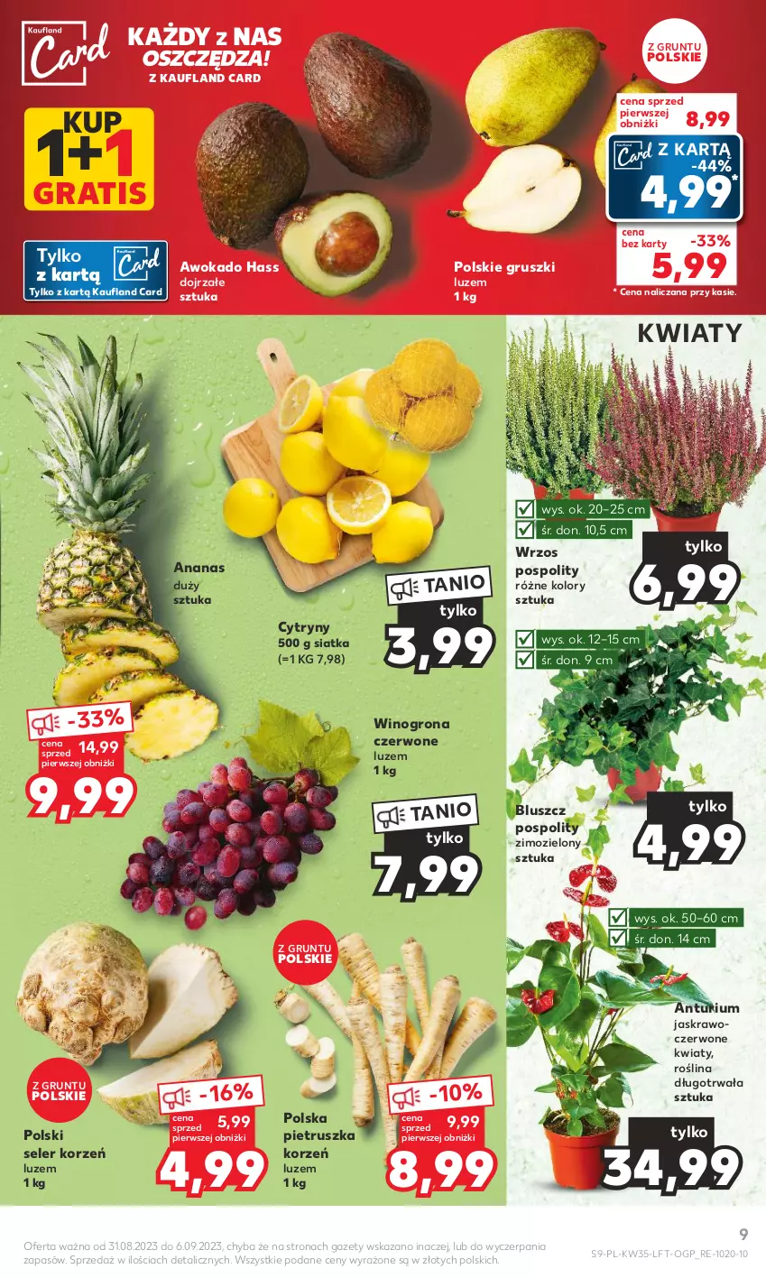 Gazetka promocyjna Kaufland - Gazetka tygodnia - ważna 31.08 do 06.09.2023 - strona 9 - produkty: Ananas, Cytryny, Gra, Grunt, Gruszki, Pietruszka, Seler korzeń, Siatka, Wino, Winogrona