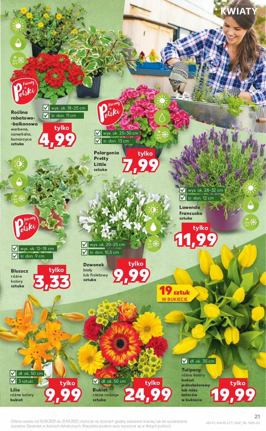 Gazetka promocyjna Kaufland - OFERTA TYGODNIA - ważna 15.04 do 21.04.2021 - strona 21 - produkty: Bukiet, Dzwonek, Tulipan