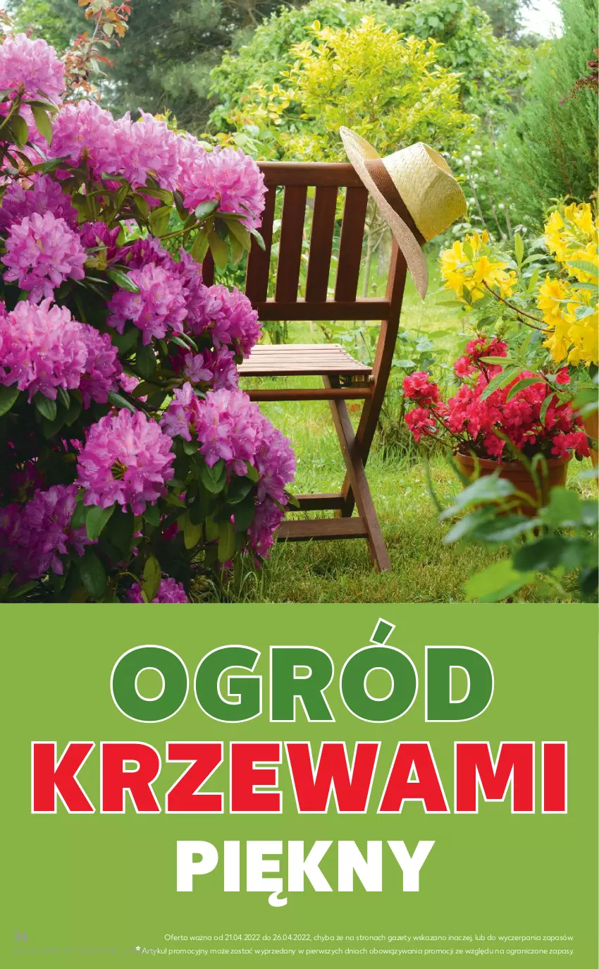 Gazetka promocyjna Kaufland - OFERTA TYGODNIA - ważna 21.04 do 26.04.2022 - strona 36 - produkty: Gra, Ogród
