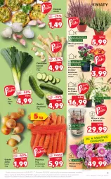 Gazetka promocyjna Kaufland - OFERTA TYGODNIA - Gazetka - ważna od 29.09 do 29.09.2021 - strona 11 - produkty: Cebula, Por, Pietruszka, Chryzantema, Czosnek, Bukiet, Grunt