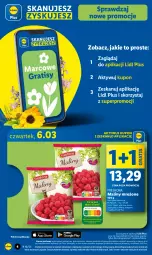Gazetka promocyjna Lidl - GAZETKA - Gazetka - ważna od 08.03 do 08.03.2025 - strona 4 - produkty: Gra, Wazon, Maliny