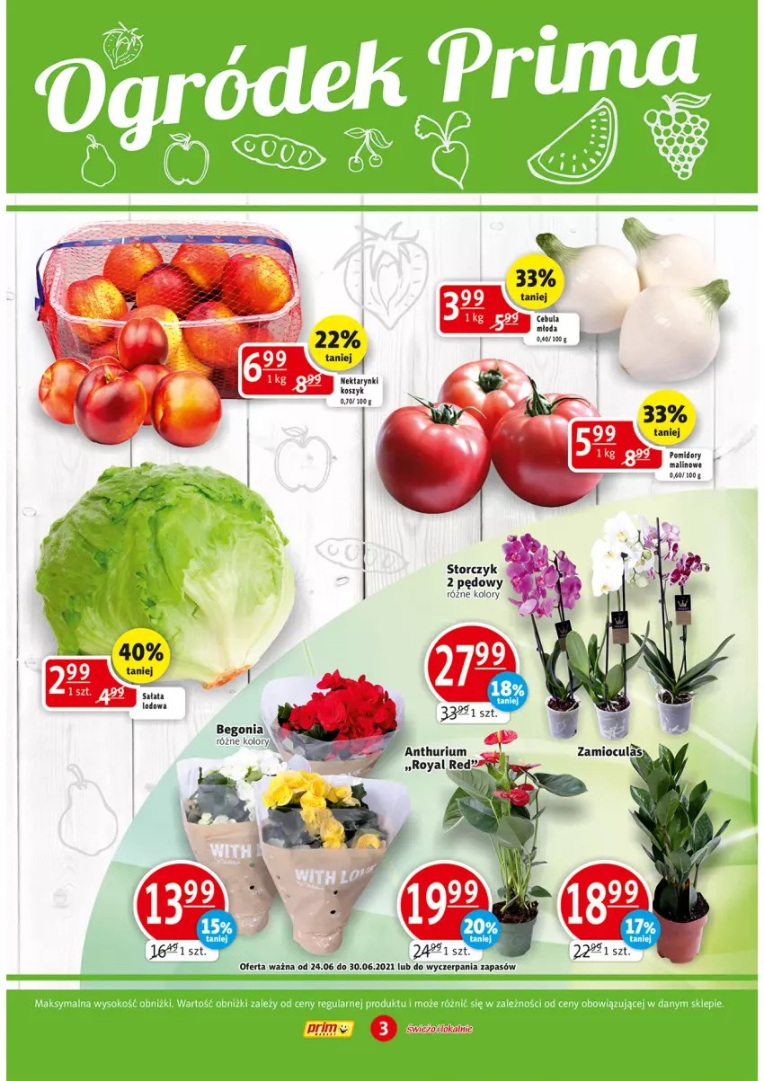 Gazetka promocyjna Prim Market - Gazetka - ważna 24.06 do 30.06.2021 - strona 3 - produkty: Cebula, Kosz, Nektar, Pomidory, Sałat, Sałata lodowa, Storczyk