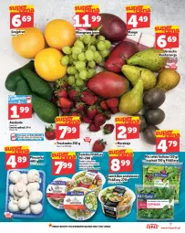 Gazetka promocyjna Topaz - Gazetka - Gazetka - ważna od 09.04 do 09.04.2025 - strona 7 - produkty: Top, Grejpfrut, LG