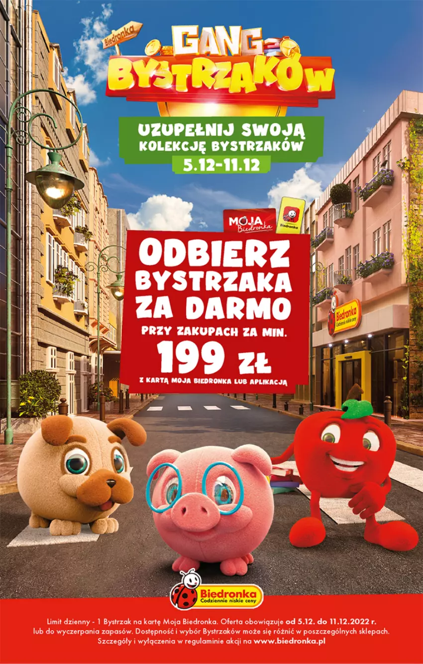 Gazetka promocyjna Biedronka - Gazetka - Biedronka.pl - ważna 05.12 do 10.12.2022 - strona 53 - produkty: 