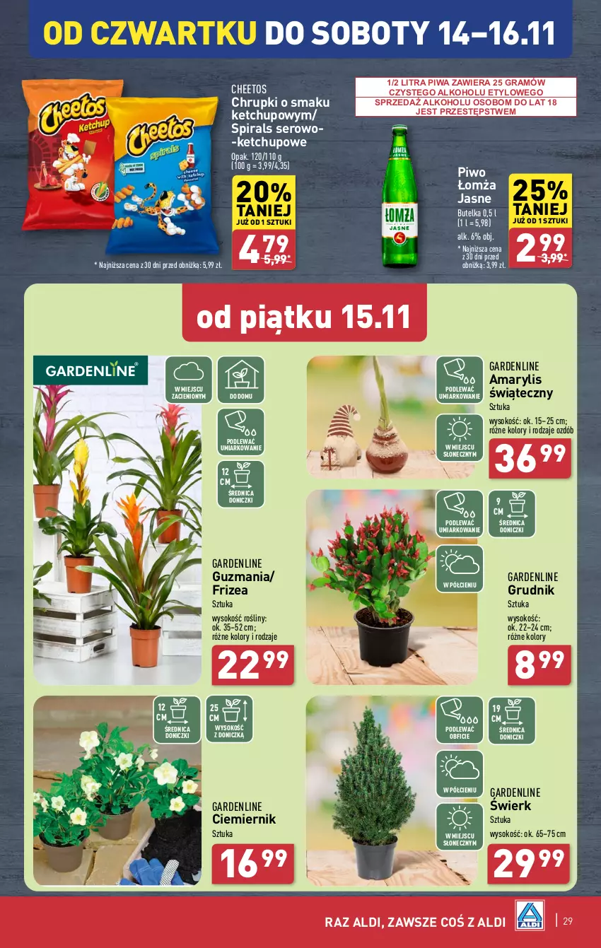 Gazetka promocyjna Aldi - Pełna oferta - ważna 12.11 do 16.11.2024 - strona 29 - produkty: Amarylis, Cheetos, Chrupki, Gra, Ketchup, Piwa, Piwo, Ser, Sok