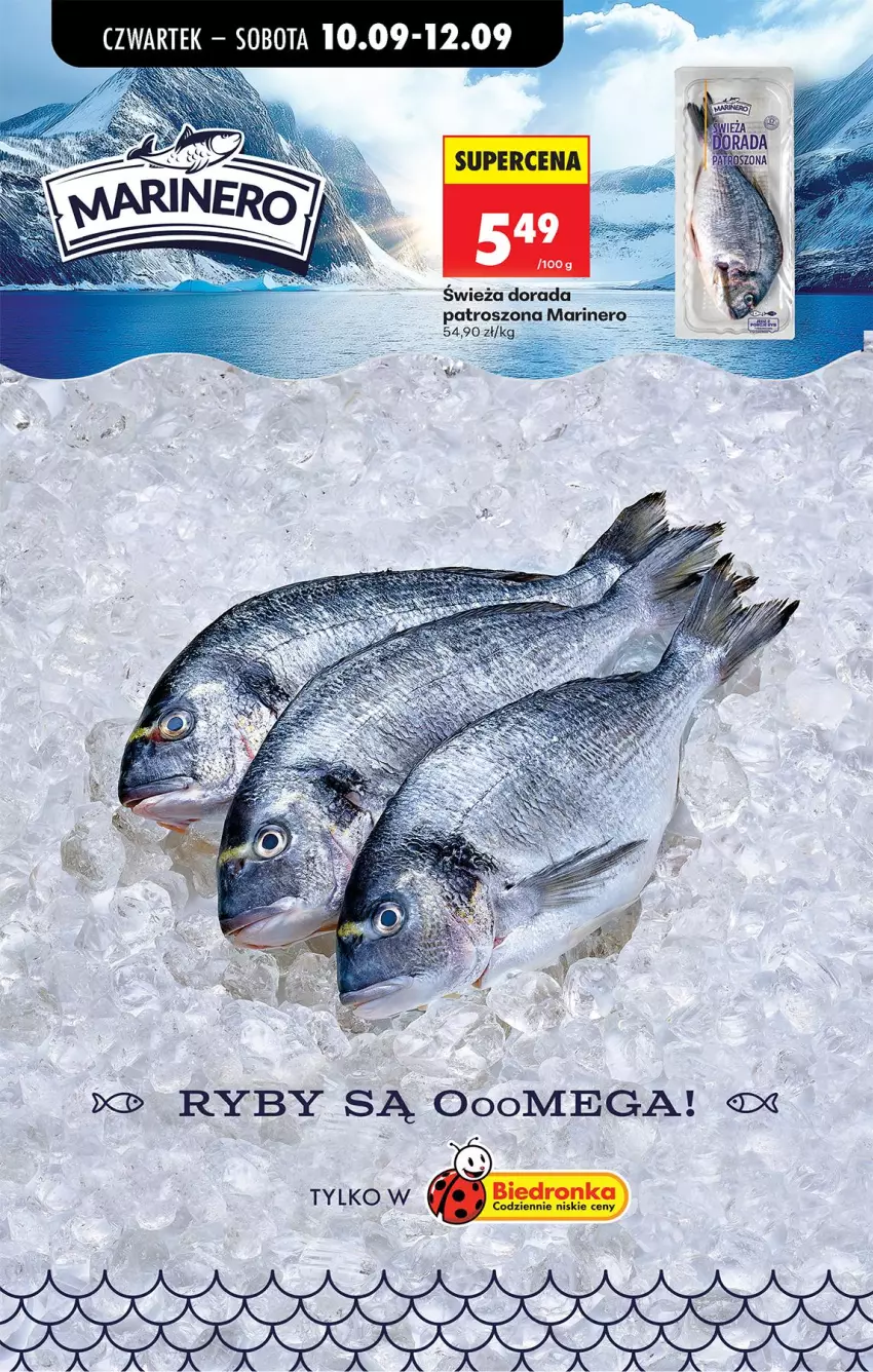 Gazetka promocyjna Biedronka - Od Czwartku - ważna 10.09 do 16.09.2026 - strona 33