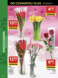 Gazetka promocyjna Delikatesy Centrum - NOWA GAZETKA Delikatesy Centrum od 13 lutego! 13-19.02.2025 - Gazetka - ważna od 19.02 do 19.02.2025 - strona 41 - produkty: Róża, Bukiet