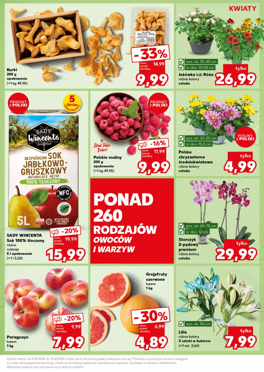 Gazetka promocyjna Kaufland - Kaufland - ważna 12.08 do 13.08.2024 - strona 9 - produkty: Chryzantema, Grejpfrut, Maliny, Róża, Sok, Storczyk