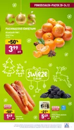 Gazetka promocyjna Aldi - Pełny katalog - Gazetka - ważna od 24.12 do 24.12.2021 - strona 3 - produkty: Mandarynki