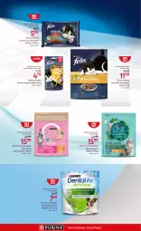 Gazetka promocyjna Rossmann - 1 października - Gazetka - ważna od 14.10 do 14.10.2024 - strona 17 - produkty: Kurczak, Pur, Koc, Purina
