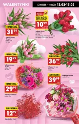 Gazetka promocyjna Biedronka - Od Czwartku - Gazetka - ważna od 19.02 do 19.02.2025 - strona 13 - produkty: Sok, Tulipan, Bukiet