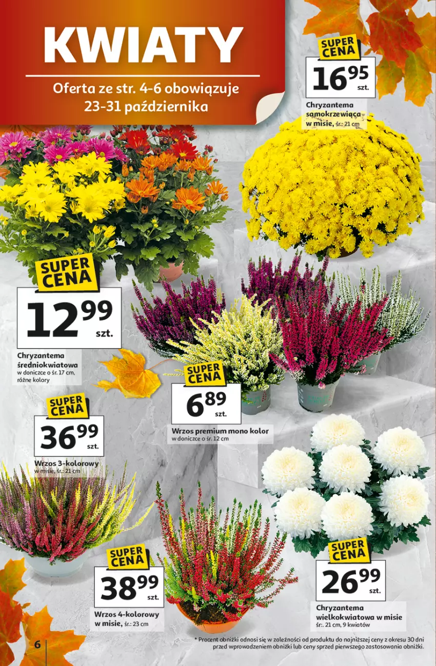 Gazetka promocyjna Auchan - Wielkie przeboje cenowe Hipermarket - ważna 23.10 do 29.10.2025 - strona 6 - produkty: Chryzantema