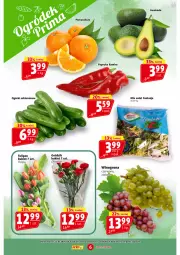 Gazetka promocyjna Prim Market - Gazetka - ważna od 13.03 do 13.03.2024 - strona 6 - produkty: Tulipan, Pomarańcze, Sałat, Winogrona, Bukiet, Fanta, Wino, Fa