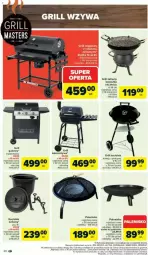 Gazetka promocyjna Carrefour - Gazetka - ważna od 10.05 do 10.05.2025 - strona 37 - produkty: Por, Koc, Palenisko, Siatka, Laur, Sport, Flora, Grill, Grill gazowy, Fa