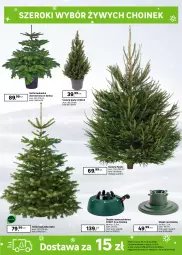 Gazetka promocyjna Leroy Merlin - Gazetka Leroy Merlin - Gazetka - ważna od 26.12 do 26.12.2025 - strona 9 - produkty: Frozen, Sos, Choinka, Inka, Poinsecja, Stojak, Kask, Girlanda