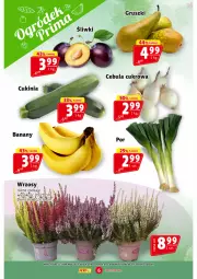 Gazetka promocyjna Prim Market - Gazetka - ważna od 17.09 do 17.09.2025 - strona 6 - produkty: Por, Kaki