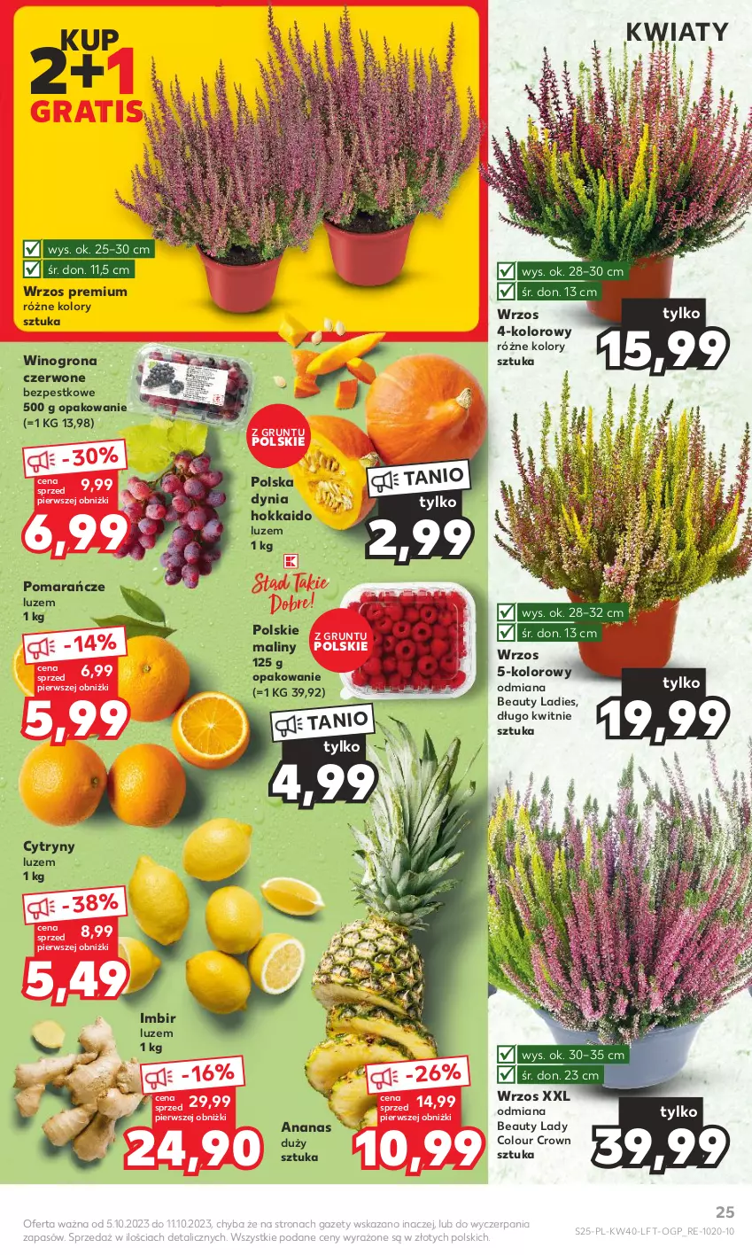 Gazetka promocyjna Kaufland - Gazetka tygodnia - ważna 05.10 do 11.10.2023 - strona 25 - produkty: Ananas, Cytryny, Gra, Grunt, Imbir, Maliny, Pomarańcze, Wino, Winogrona