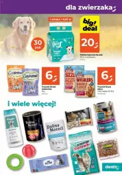 Gazetka promocyjna Dealz - Gazetka - ważna od 06.11 do 06.11.2024 - strona 10 - produkty: Przysmaki, Podkład, Fa