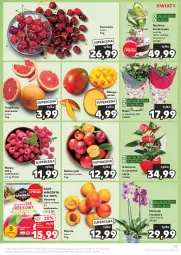 Gazetka promocyjna Kaufland - Gazetka tygodnia - Gazetka - ważna od 28.05 do 28.05.2024 - strona 17 - produkty: Sok, Ser, Róża, Storczyk, Maliny, Mango, Nektar, Grejpfrut