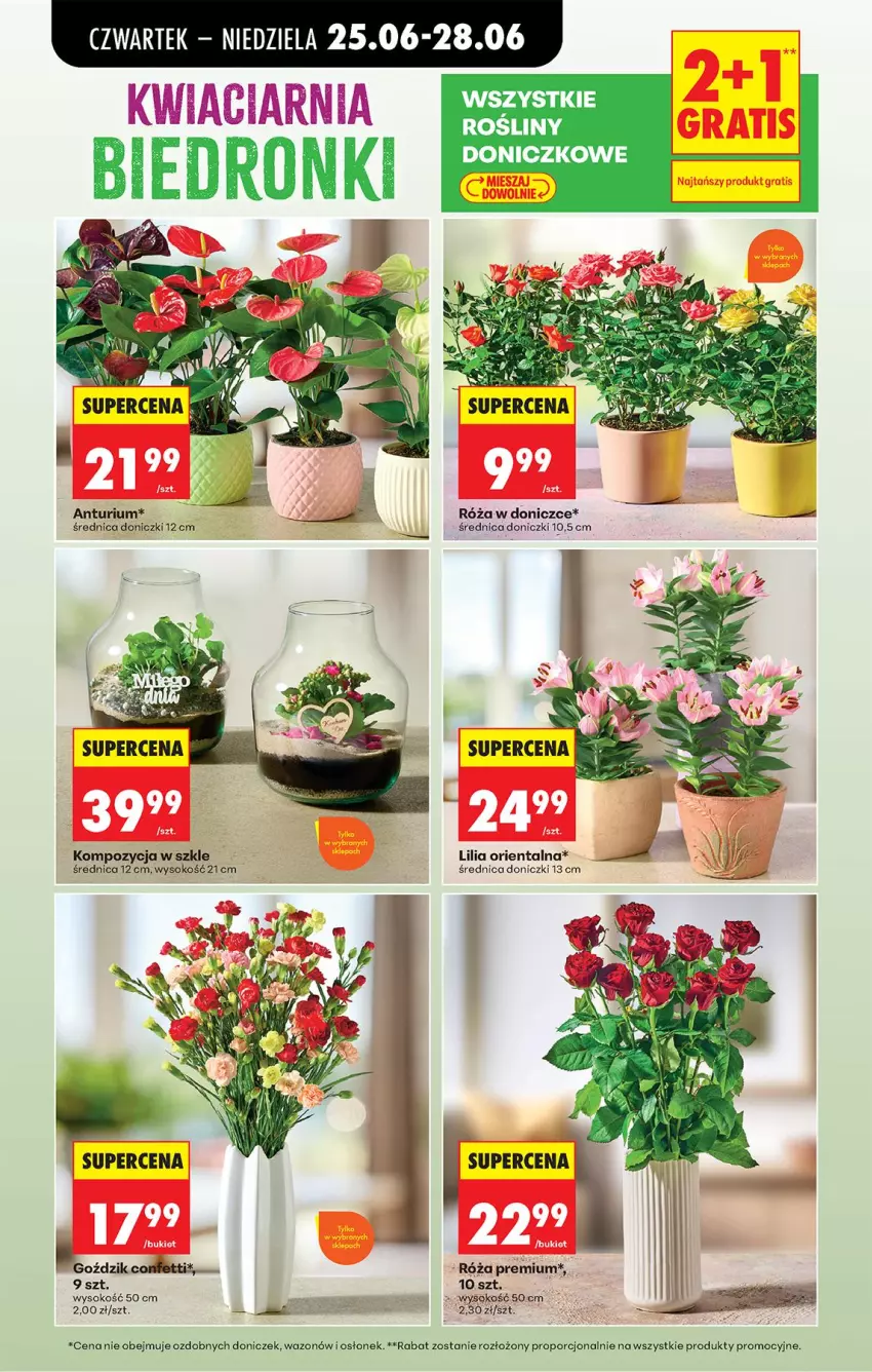 Gazetka promocyjna Biedronka - Od Czwartku - ważna 25.06 do 01.07.2026 - strona 83 - produkty: Por, Róża, Sok, Wazon