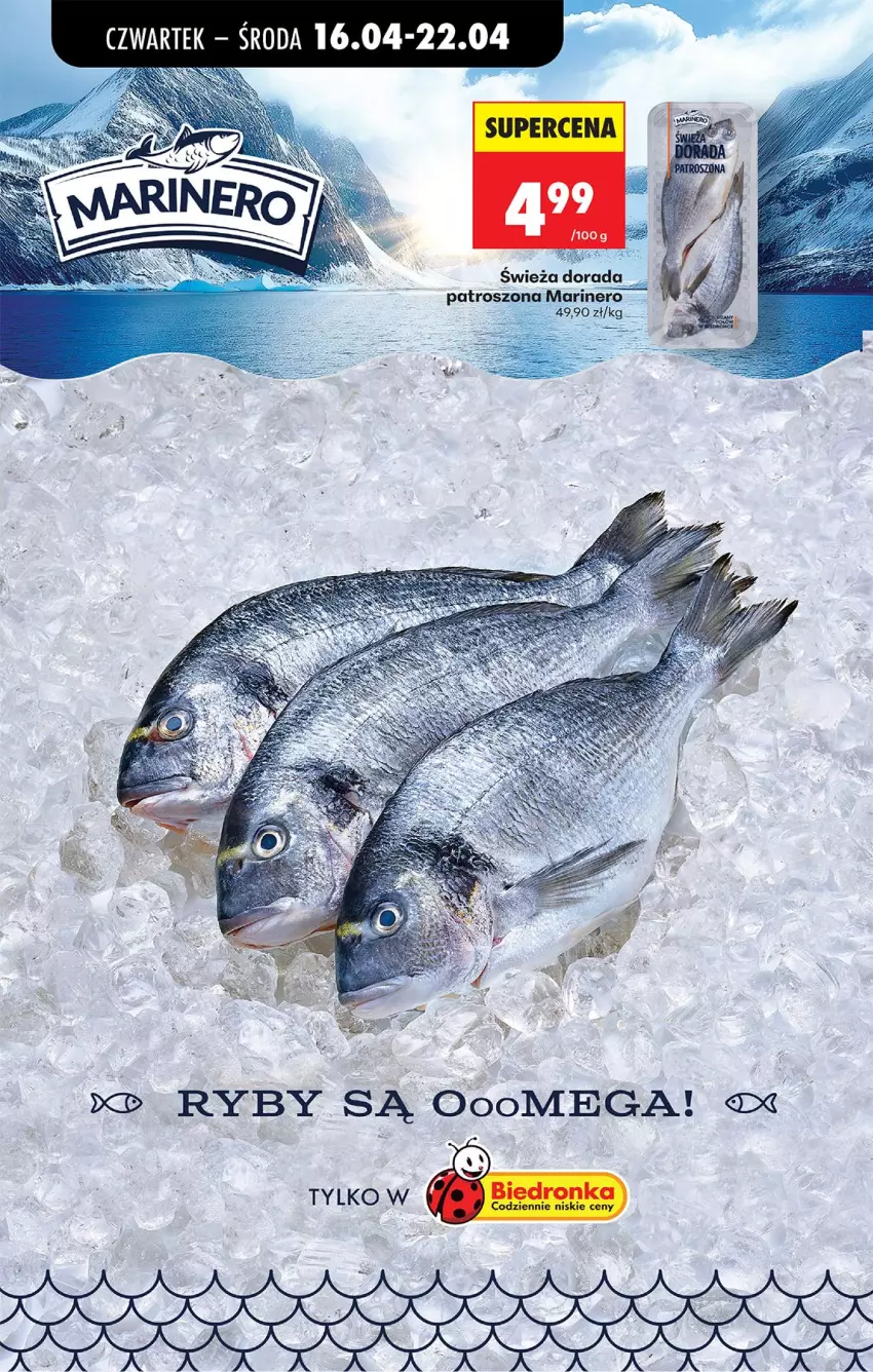 Gazetka promocyjna Biedronka - Od Czwartku - ważna 16.04 do 22.04.2026 - strona 42