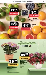 Gazetka promocyjna Netto - Artykuły spożywcze - Gazetka - ważna od 14.06 do 14.06.2023 - strona 5 - produkty: Borówka, Limonka, Mango, Grejpfrut