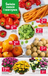 Gazetka promocyjna Stokrotka - Supermarket - Gazetka - ważna od 26.10 do 26.10.2022 - strona 3 - produkty: Chryzantema, Papryka czerwona, Papryka, Ziemniaki, Szpinak