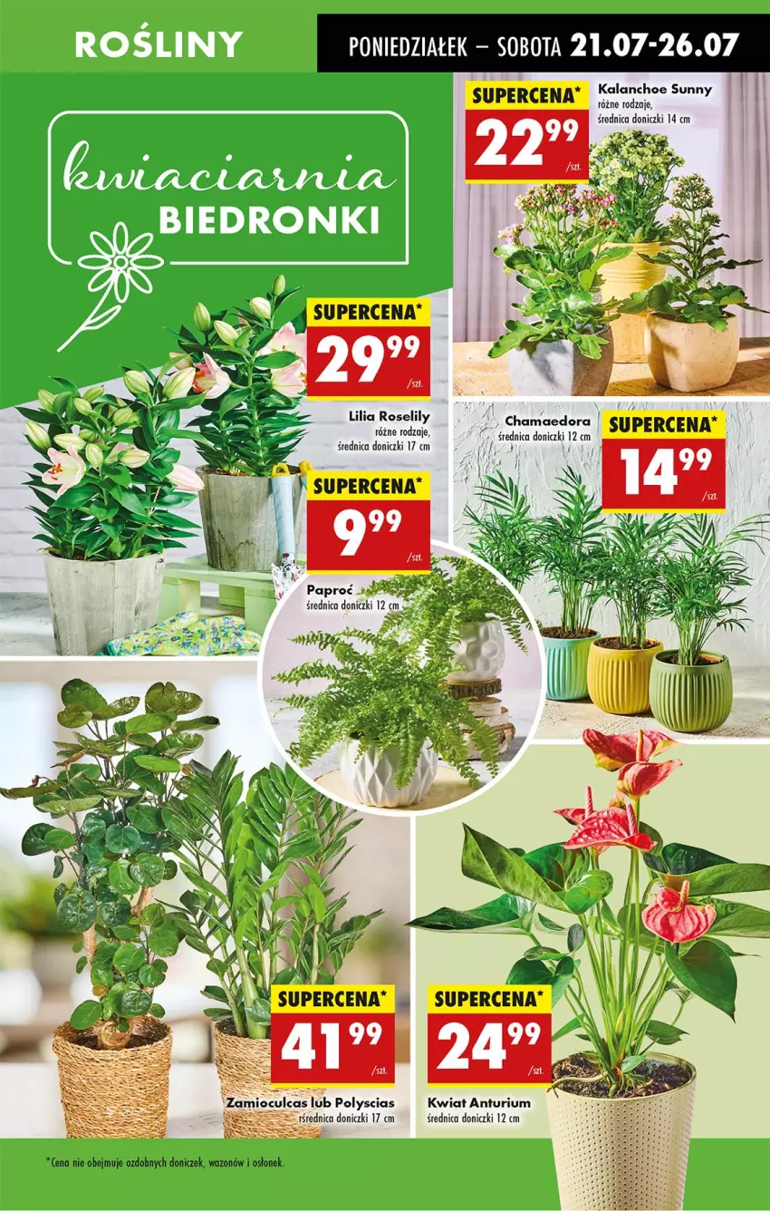 Gazetka promocyjna Biedronka - Od Poniedziałku - ważna 21.07 do 26.07.2025 - strona 79 - produkty: Fa, Hama, Kalanchoe, Wazon