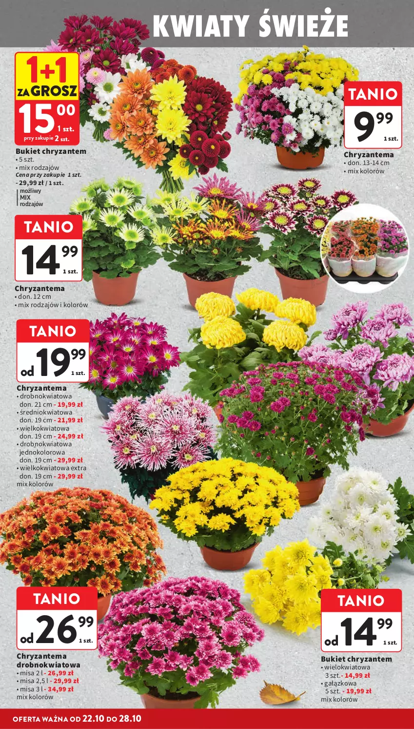 Gazetka promocyjna Intermarche - Gazetka promocyjna - ważna 22.10 do 28.10.2026 - strona 4 - produkty: Bukiet, Chryzantema