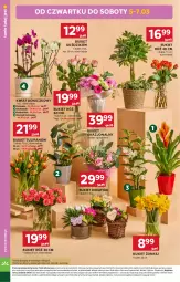 Gazetka promocyjna Stokrotka - Market - Gazetka - ważna od 11.03 do 11.03.2026 - strona 14 - produkty: Warzywa, Tulipan, Wazon, Optima, Storczyk, Bukiet, Owoce, Mięso