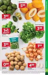 Gazetka promocyjna Stokrotka - Market - Gazetka - ważna od 11.03 do 11.03.2026 - strona 15 - produkty: Cebula, Warzywa, Gra, Sałata masłowa, Czosnek, Rukola, Ziemniaki, Siatka, Sałat, Optima, Limonka, Owoce, Masło, Melon, Mięso