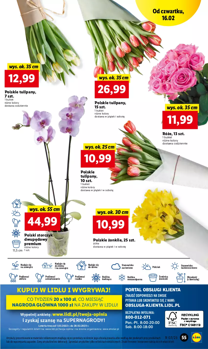 Gazetka promocyjna Lidl - GAZETKA - ważna 16.02 do 18.02.2023 - strona 57 - produkty: Bukiet, Cień, Gry, Mola, O nas, Por, Sok, Storczyk, Tulipan