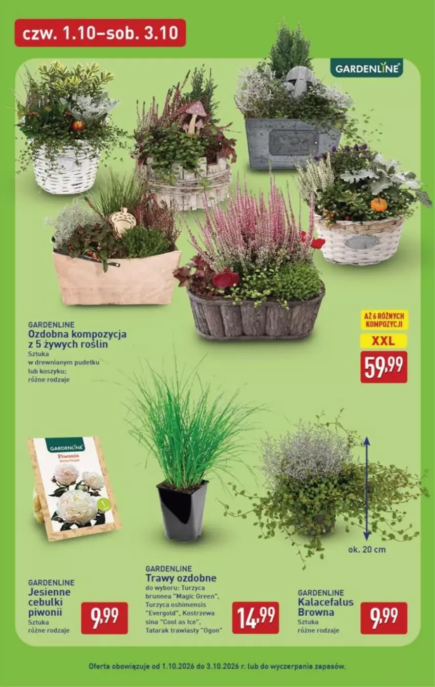 Gazetka promocyjna Aldi - Pełna oferta - ważna 28.09 do 03.10.2026 - strona 43 - produkty: Fa, Kosz, Piwo