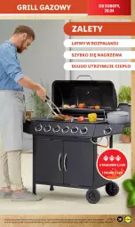 Gazetka promocyjna Lidl - GAZETKA - Gazetka - ważna od 20.04 do 20.04.2024 - strona 43 - produkty: Grill, Grill gazowy