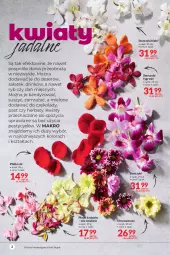 Gazetka promocyjna Makro - [Oferta promocyjna] Artykuły spożywcze i przemysłowe - Gazetka - ważna od 21.02 do 21.02.2022 - strona 2 - produkty: Ser, Gry, Sałat, Storczyk, Deser