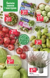 Gazetka promocyjna Stokrotka - Supermarket - Gazetka - ważna od 19.10 do 19.10.2022 - strona 3 - produkty: Warzywa, Gra, Granat, Kiwi, Sałat, Gruszki, Owoce