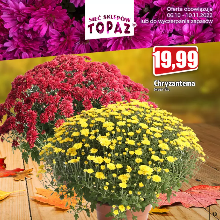 Gazetka promocyjna Topaz - Gazetka - ważna 06.10 do 10.11.2022 - strona 13 - produkty: Chryzantema