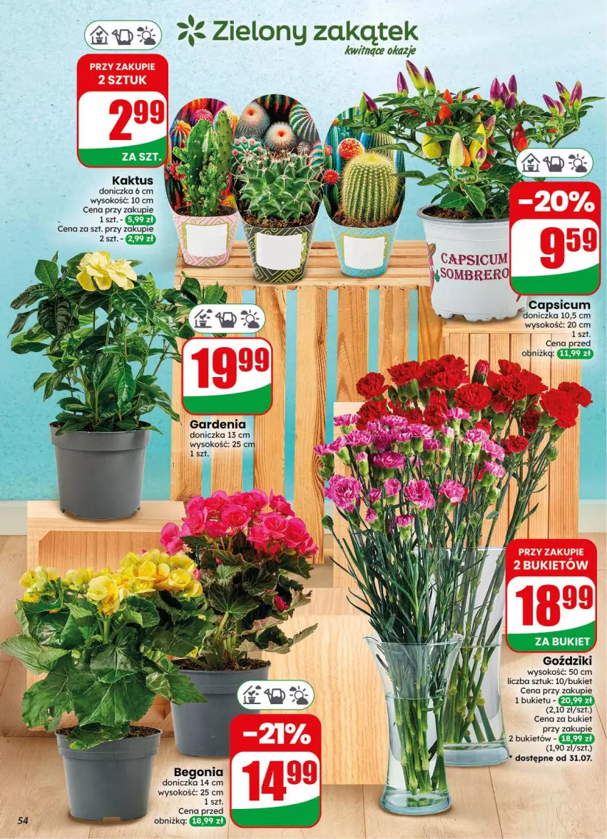 Gazetka promocyjna Dino - Gazetka 31 / 2026 - ważna 29.07 do 04.08.2026 - strona 54 - produkty: Bukiet, Kaktus, Sok
